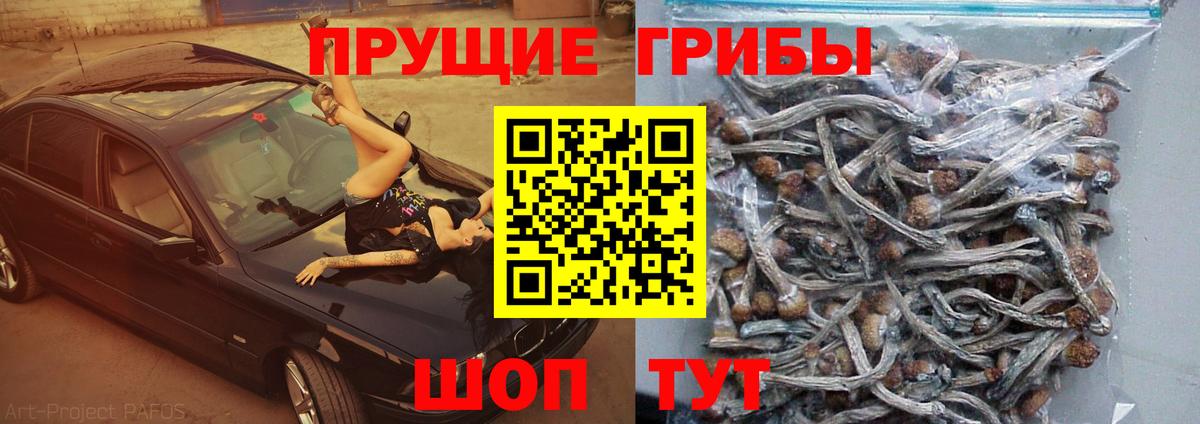 МЕФ   Вход с VPN  МДМА  Где продают наркотики?  Павловский Посад  ГАШ  МАРИХУАНА  Alpha-PVP СОЛЬ   Cocaine 