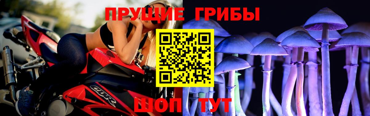 Галлюциногенные грибы Psilocybe Павловский Посад